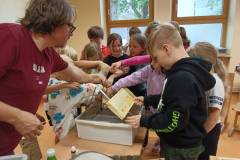 IMG_20240611_085131