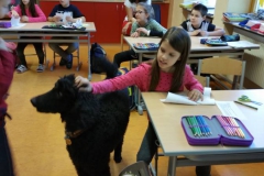 Hundeworkshop (1)