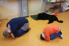 Hundeworkshop (12)