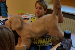 Hundeworkshop (6)