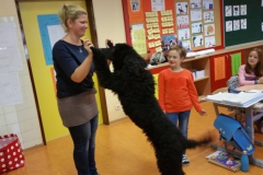 Hundeworkshop (9)