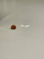 Erneuerbare Energien - Workshop Kl 4