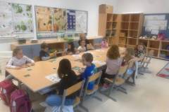 IMG-20250614-WA0004