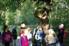 IMG_20201008_103207