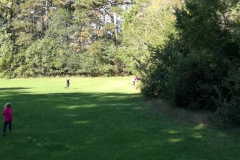 IMG_20201008_110138