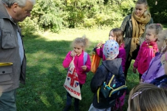 IMG_20201008_110945
