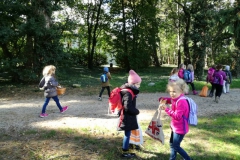 IMG_20201008_111529