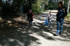 IMG_20201008_111940