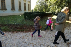 IMG_20201008_112332