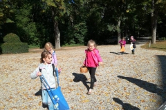 IMG_20201008_112340