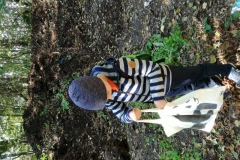 IMG_20201008_113300_BURST003