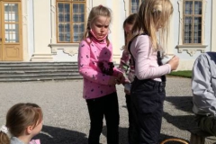 IMG_20201008_120826