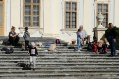 IMG_20201008_121855