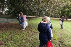 IMG_20201019_122312