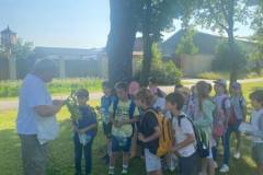 IMG-20250613-WA0007