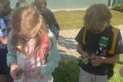 IMG-20250613-WA0010