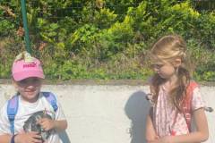 IMG-20250613-WA0019