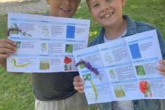 IMG-20250613-WA0020