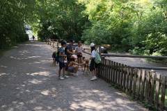 IMG_20240625_093522