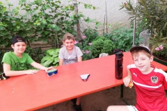 IMG-20210623-WA0006