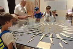 IMG_20240620_113144