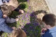 133f30d6-54b3-498d-86f9-a2fdf62f3df6