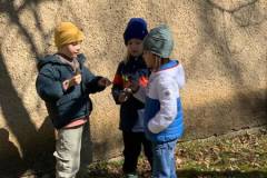 IMG-20250320-WA0010