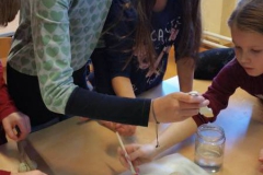 Vom Korn zu Brot (16)