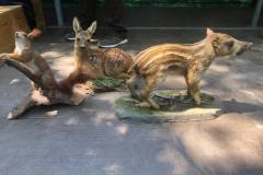 IMG-20230601-WA0011